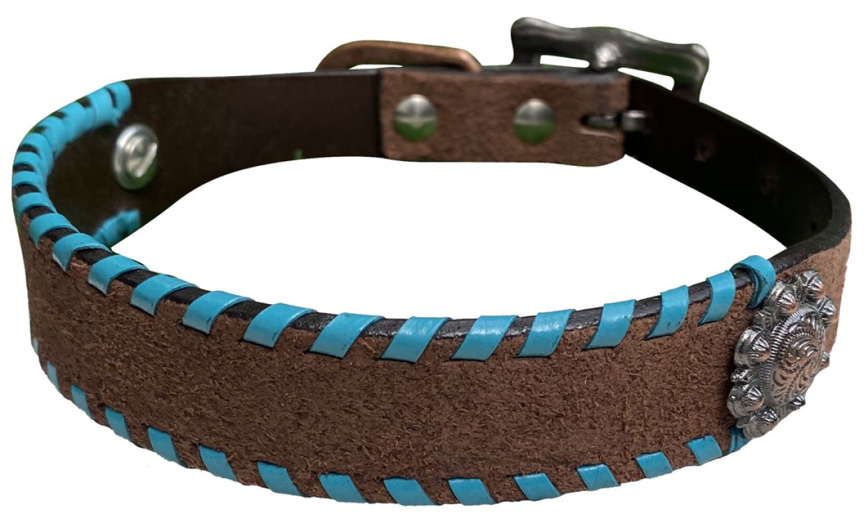 Leather Dog Collar