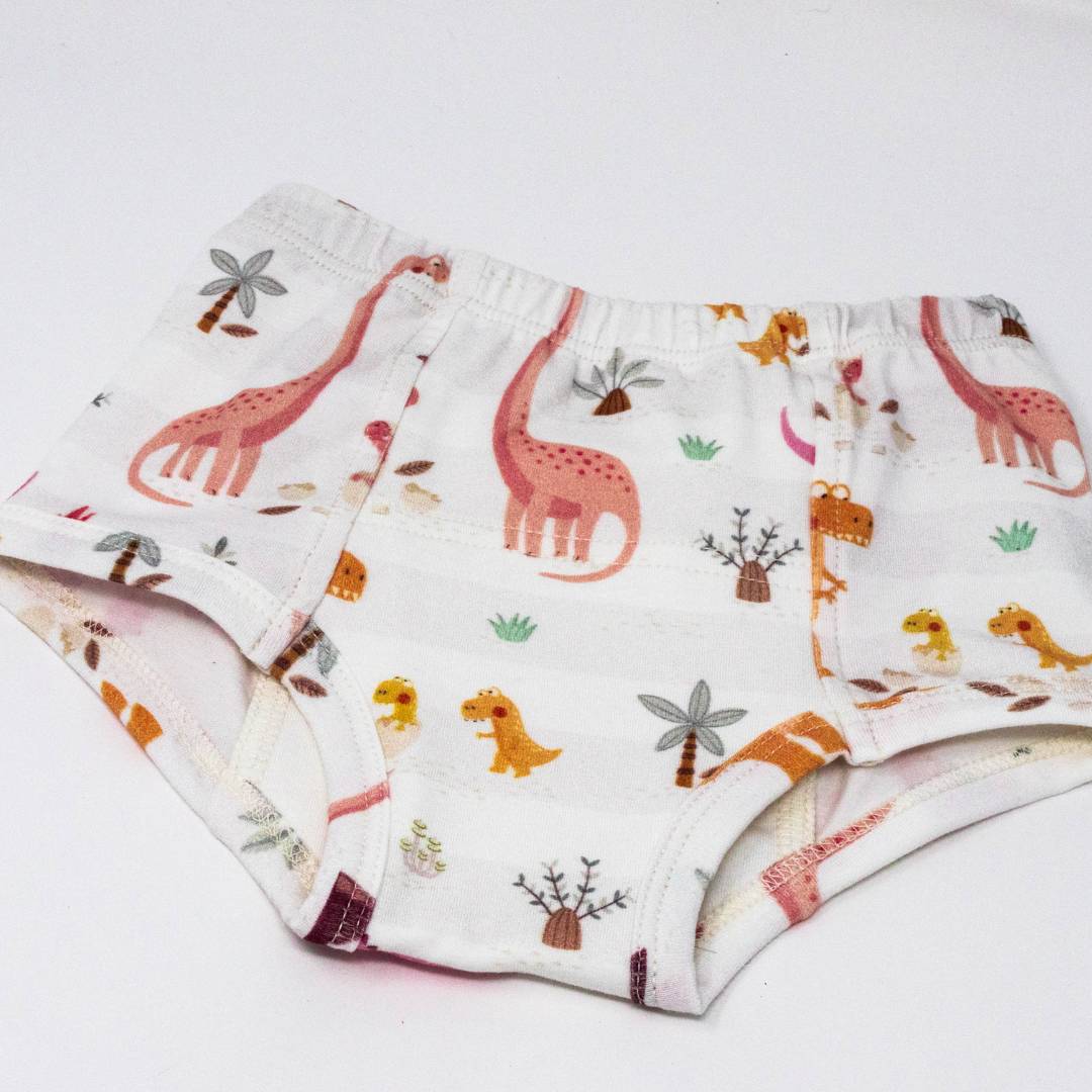 Rose Dinosaur Family Potty Training Pants