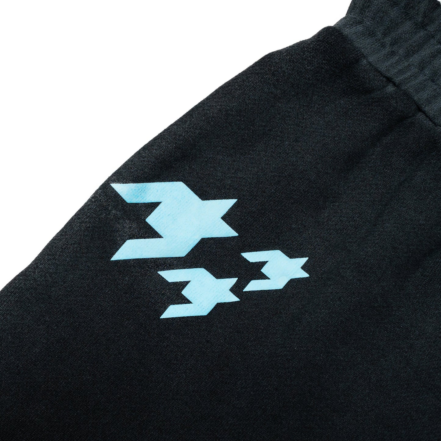 Freepalooza Shorts - Black