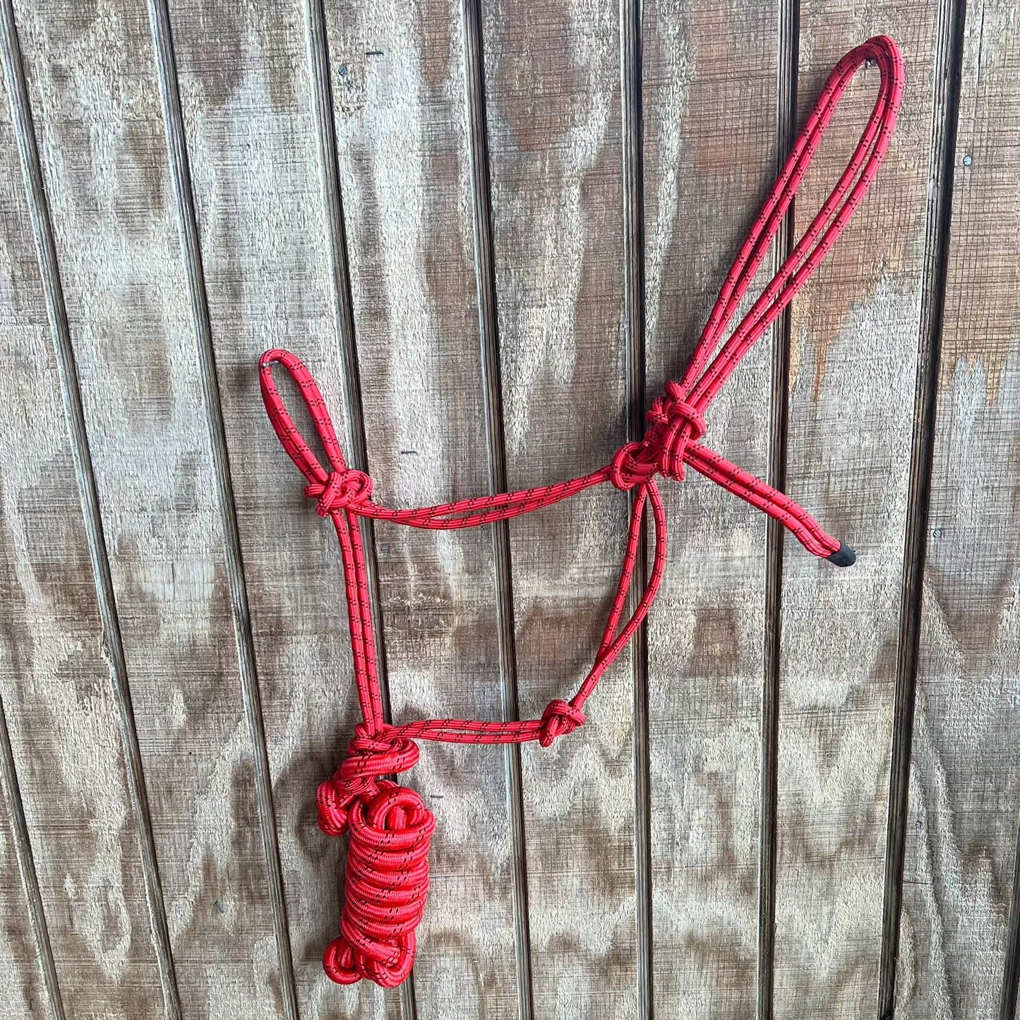 Cowboy Knot Halter