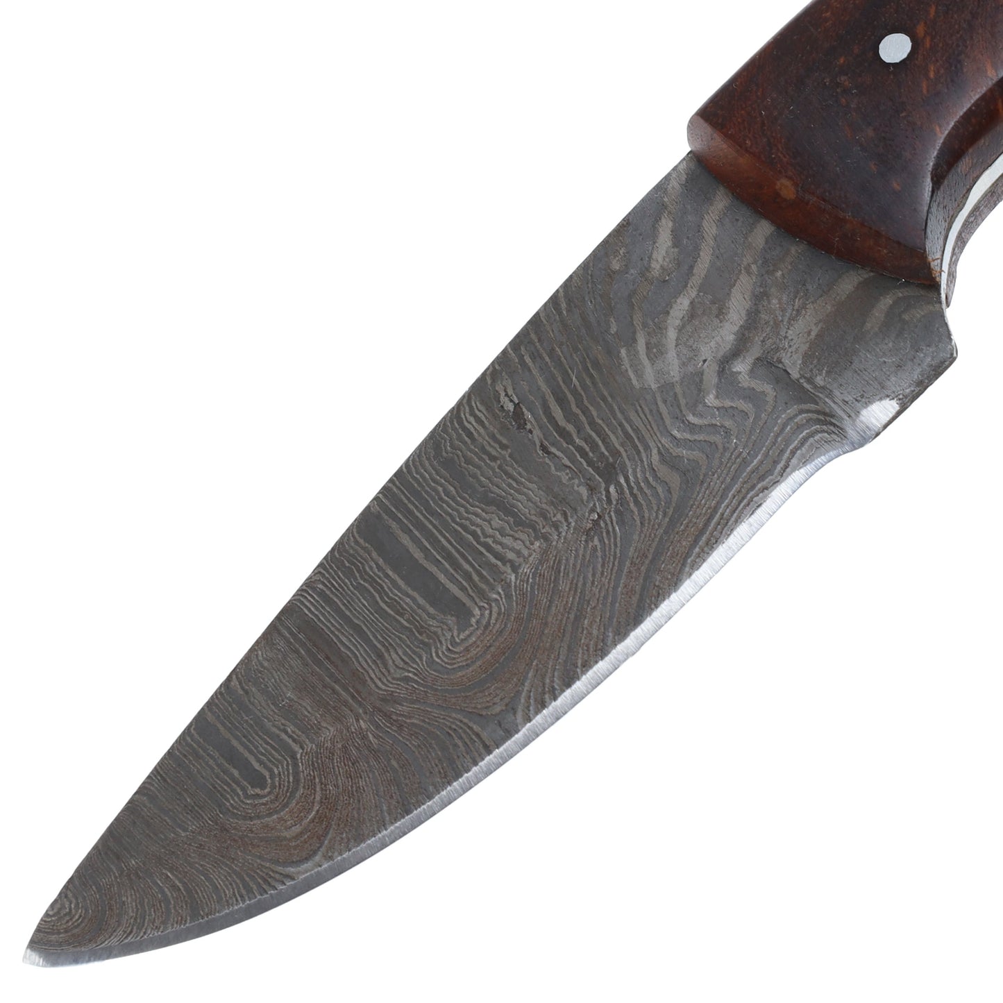 Lariat Scout Knife