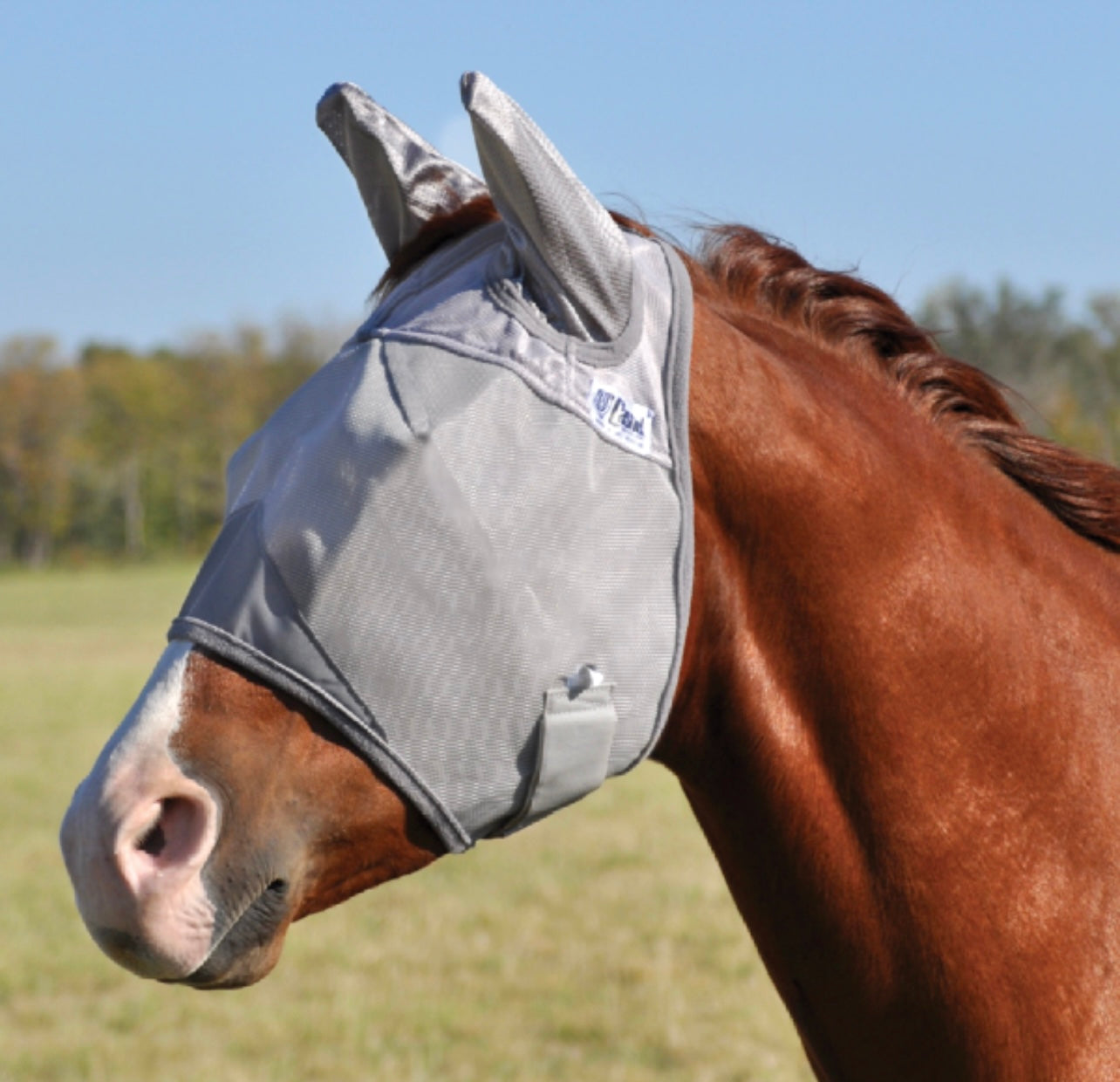 Crusader Fly Mask with Ears