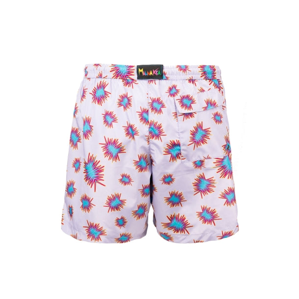 HULA BOARDSHORTS MKU203_H14