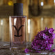 Yellowstone Perfume — Star Product of the Day at Jeans.com