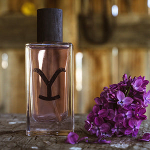 Yellowstone Perfume — Star Product of the Day at Jeans.com