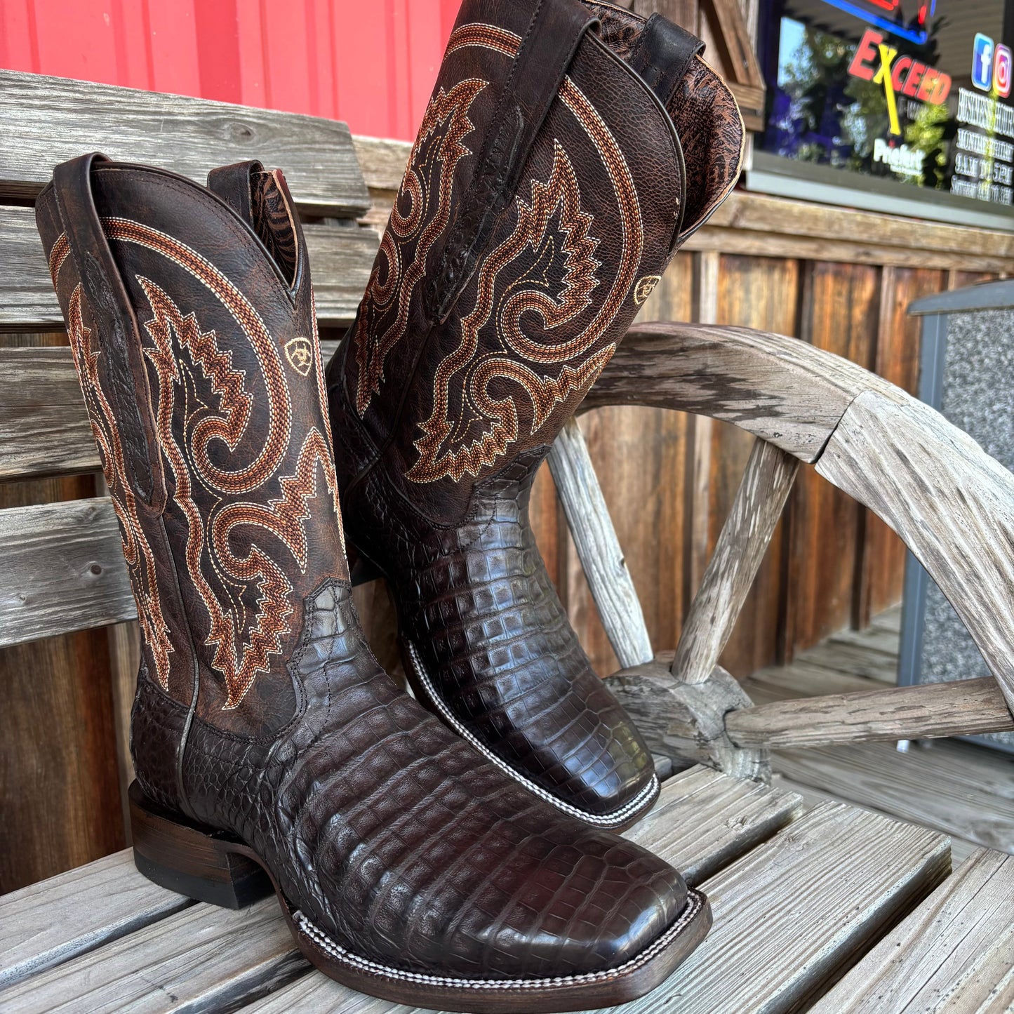 Chocolate Caiman Belly | Ariat Mens