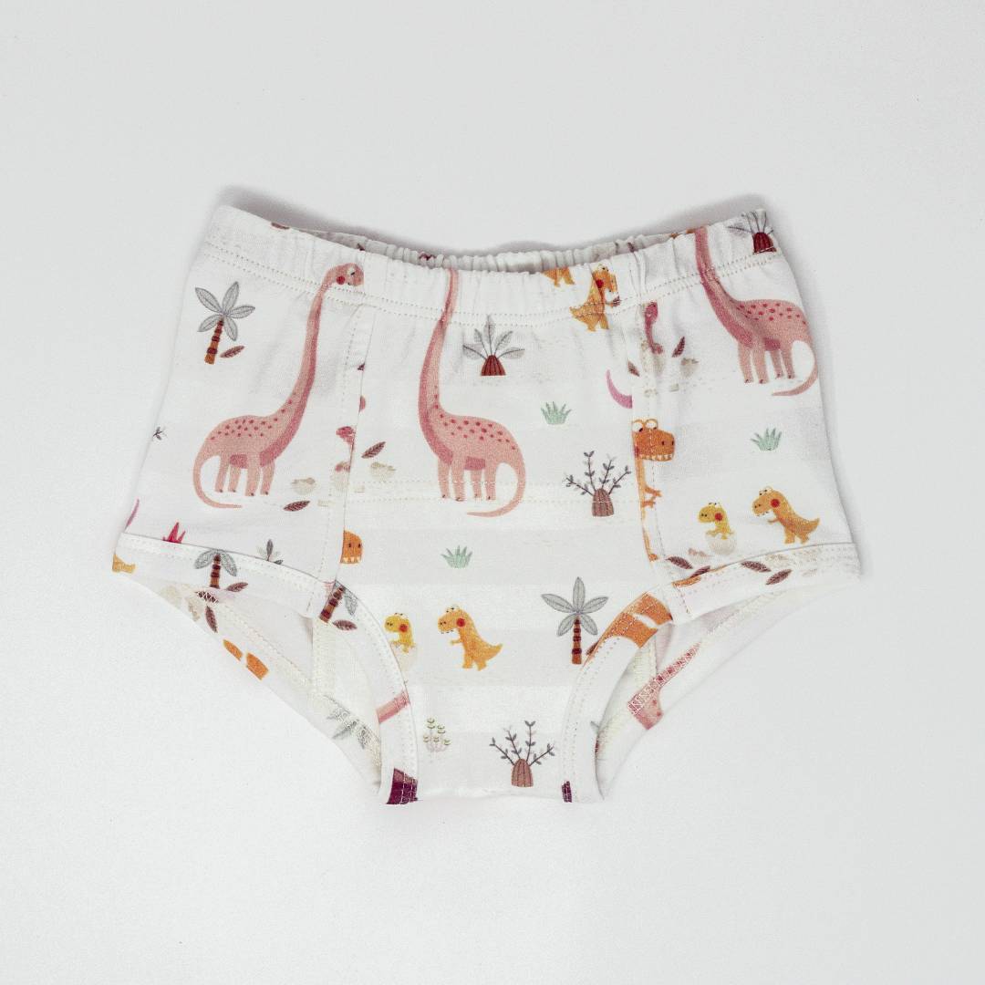 Rose Dinosaur Family Potty Training Pants