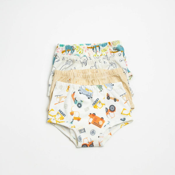 Adventure-Ready Organic Potty Training Underwear (4 Pack)
