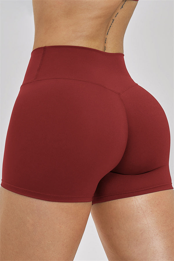 The New Seraphine Layered V Sports Bra Shorts 2-Piece Set