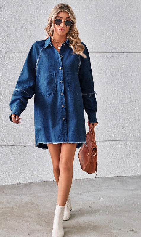 Button Up Denim Dress