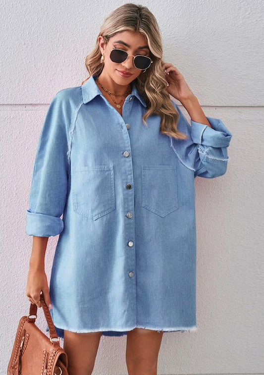 Button Up Denim Dress