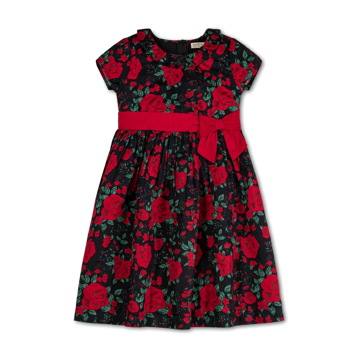 Ruffle Collar Party Dress