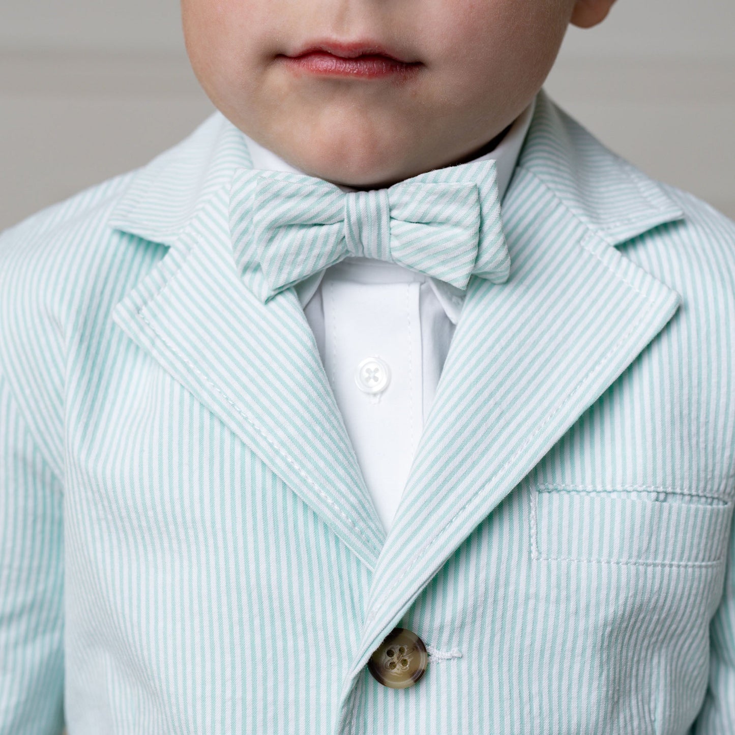 Seersucker Bow Tie