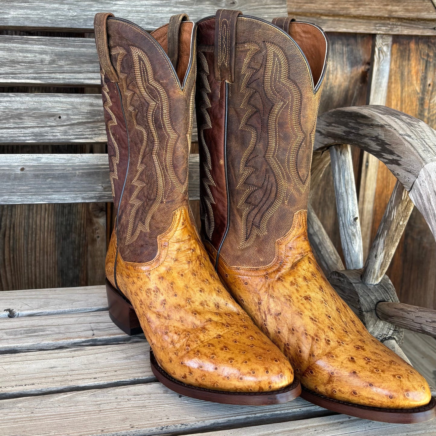 Gehrig Full Quill Ostrich | Dan Post