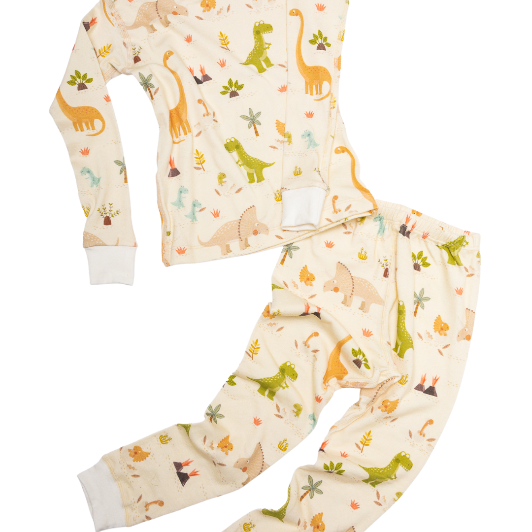 Dinosaur Organic Cotton Pajamas