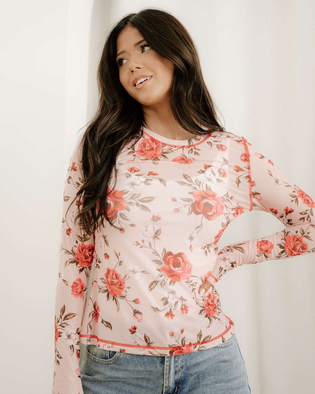 Rose Semi Sheer Crew Neck Long Sleeve Mesh Layering Top