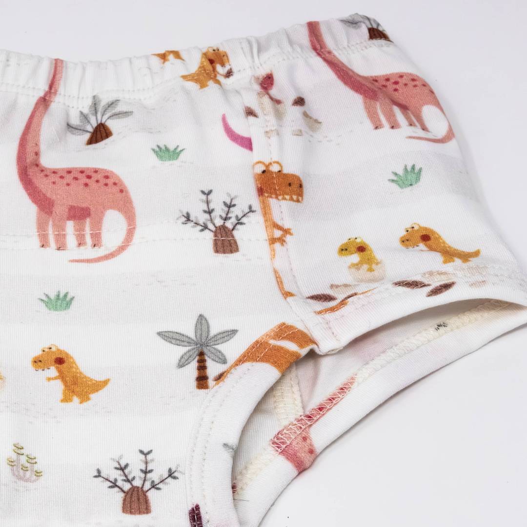 Rose Dinosaur Family Potty Training Pants