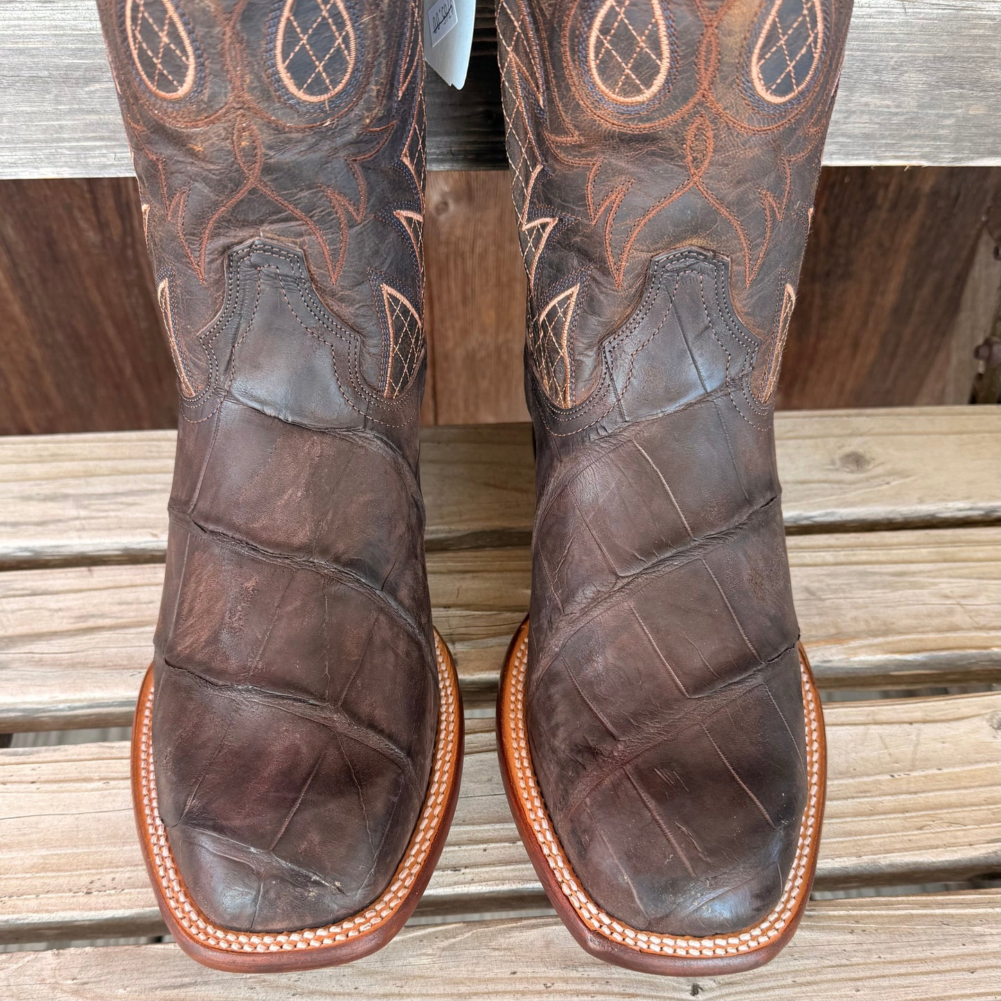 Brown Nubuck Alligator | Stetson Mens