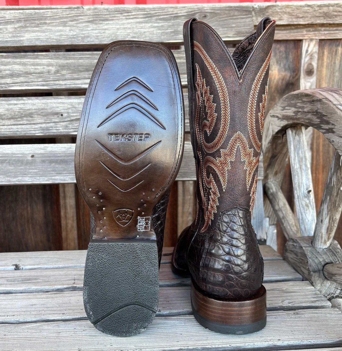 Chocolate Caiman Belly | Ariat Mens