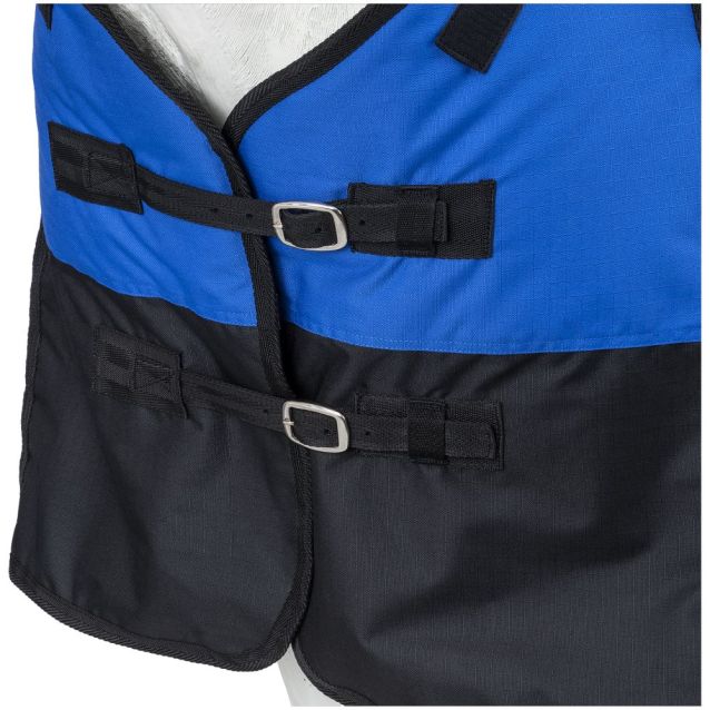 Blue Pony Turnout Blanket