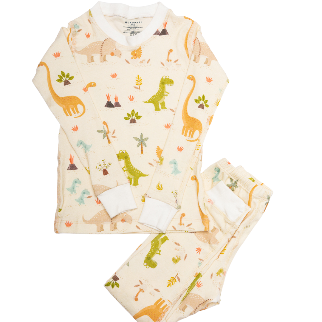 Dinosaur Organic Cotton Pajamas