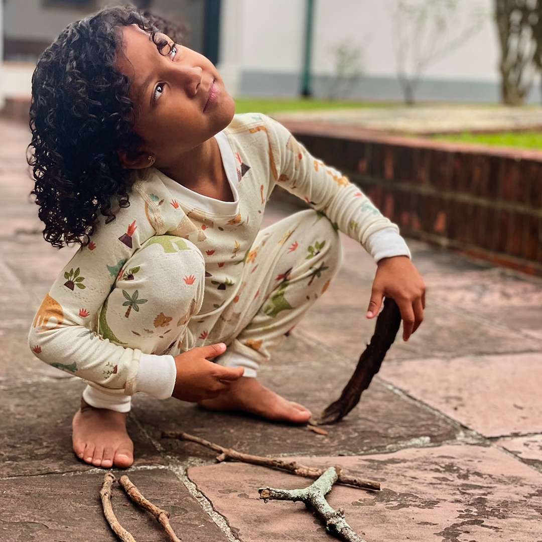 Dinosaur Organic Cotton Pajamas