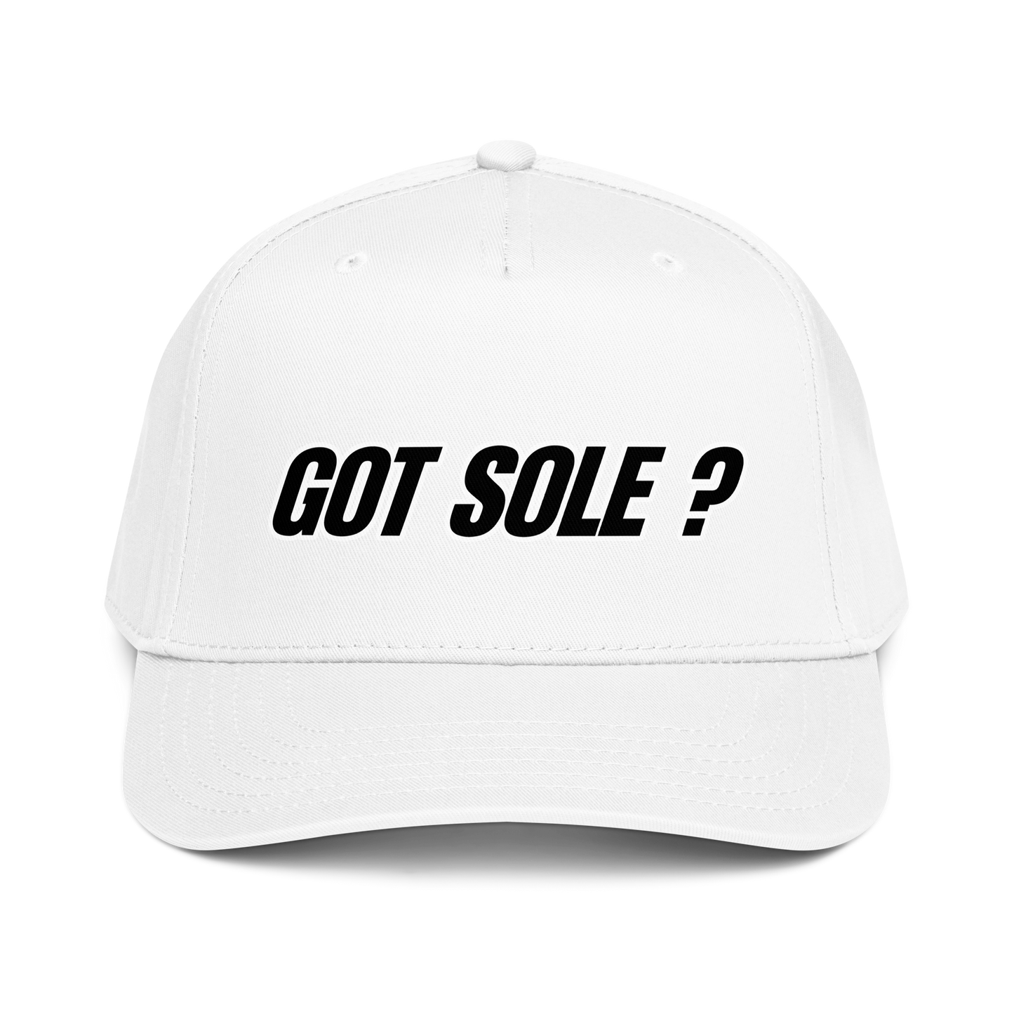 Sole Providerz™ "GOT SOLE ?" 5 Panel Cap
