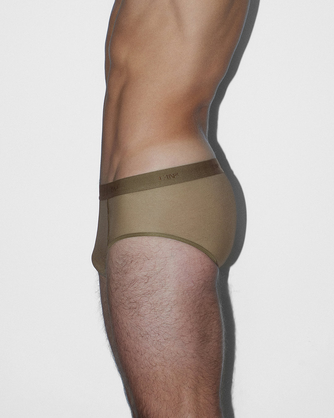 Sheer Fly Front Brief Dark Nude
