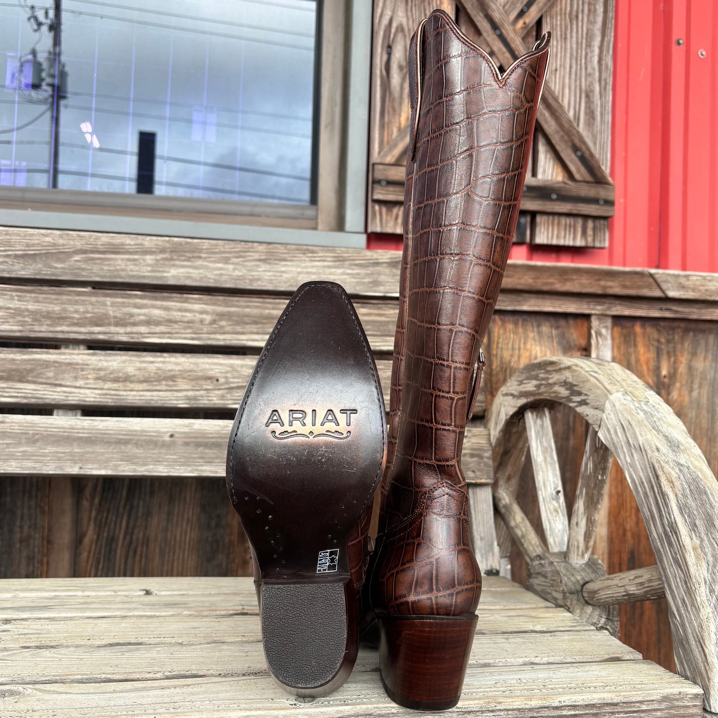 Espresso Croc Casanova | Ariat Womens