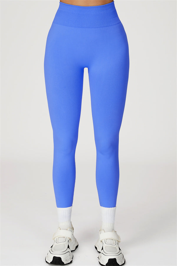 The Sculpt Leggings