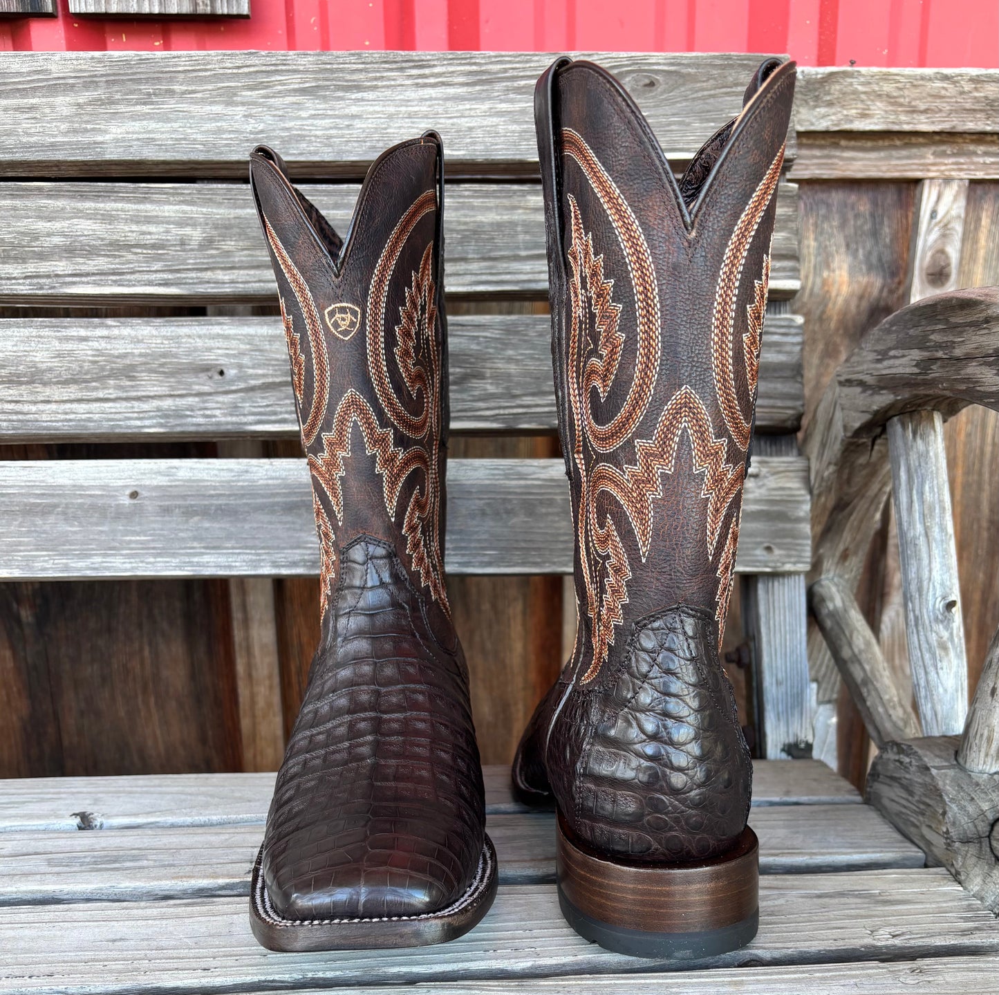 Chocolate Caiman Belly | Ariat Mens