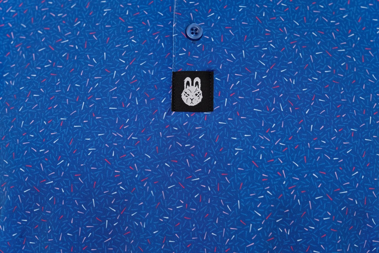 The Big Bang Polo