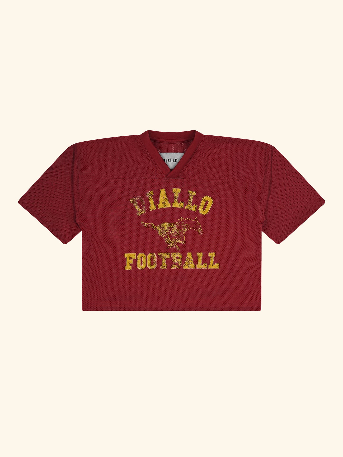 DIALLO FOOTBALL JERSEY