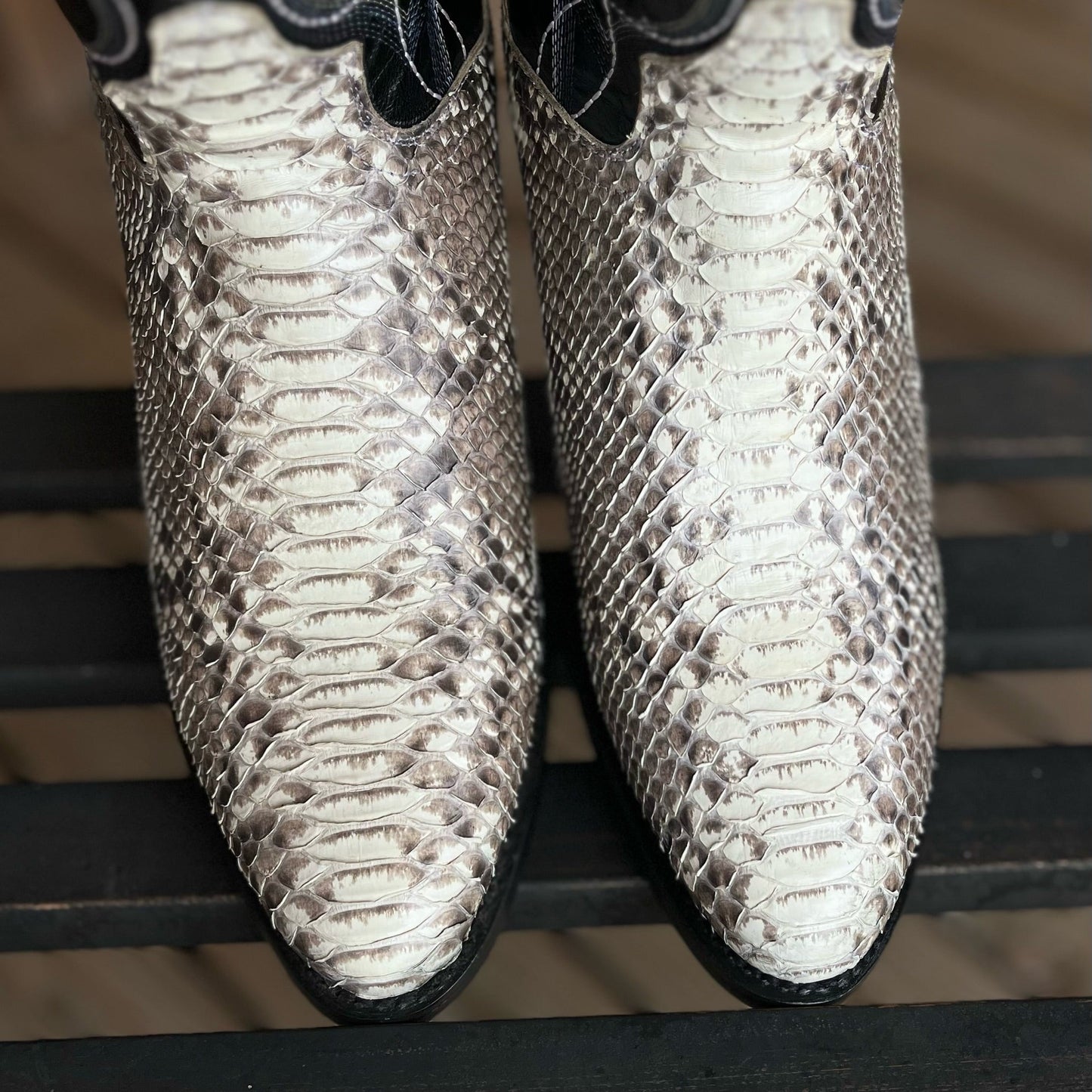 Manning Python | Dan Post