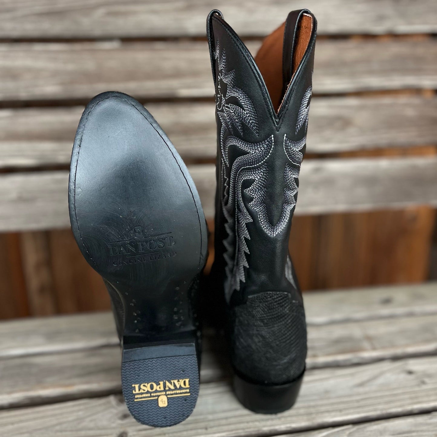 Winston Lizard | Dan Post