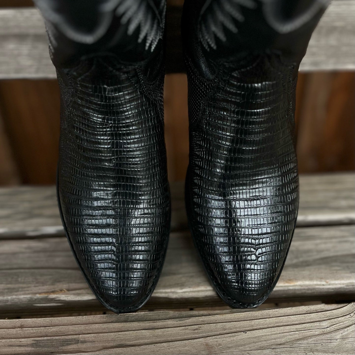 Winston Lizard | Dan Post