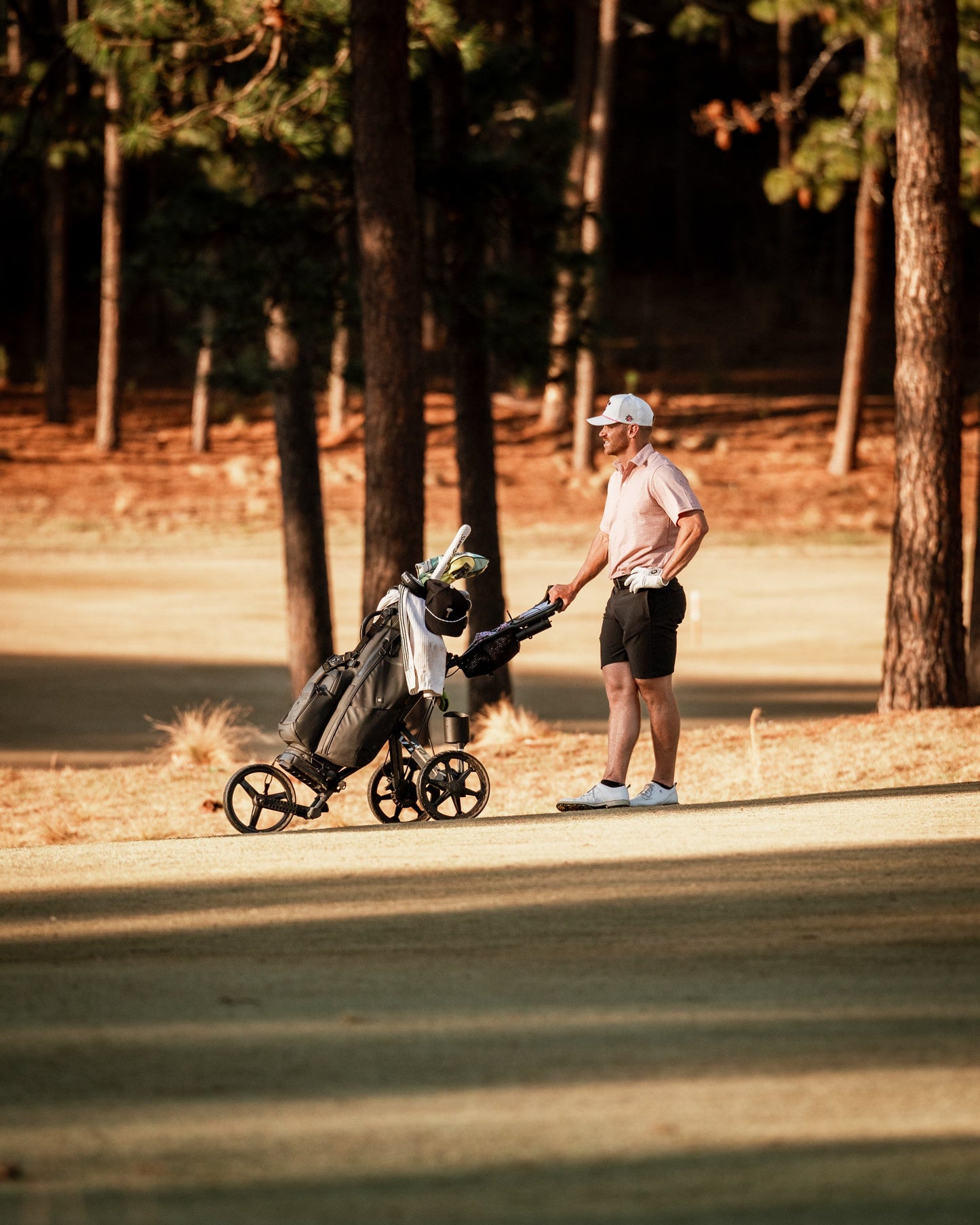 Sparrows