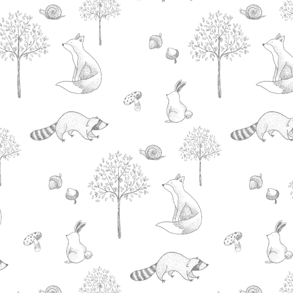 Gray Raccoon Pima Long Pajama Set