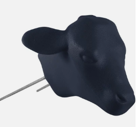 Calf Head | Classic Ropes