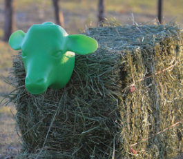 Calf Head | Classic Ropes