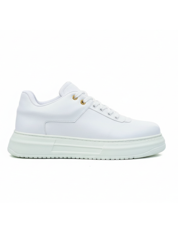 Men's Helios Arctic