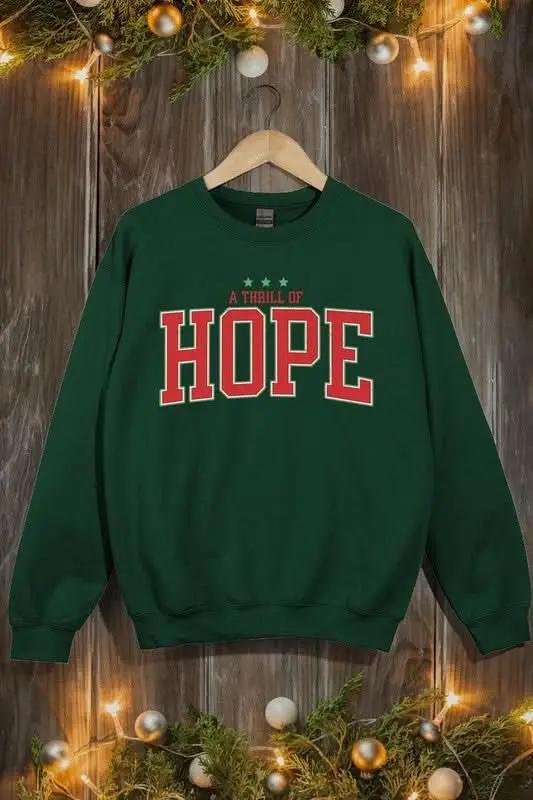 Color Bear Graphic Fleece Sweatshirt Unisex Everyday Comfy Pullover