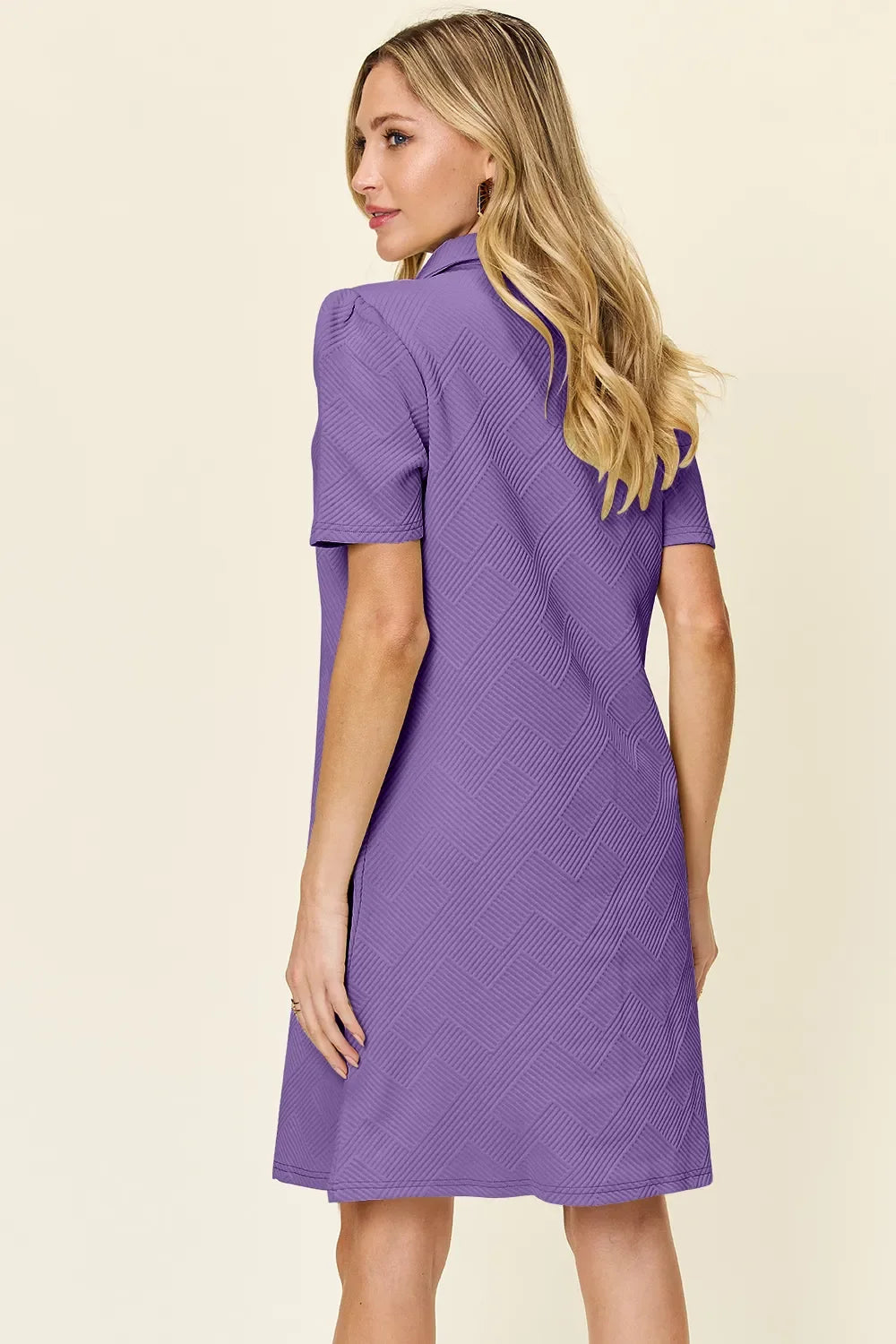 Double Take Textured Collared Short Sleeve Dress