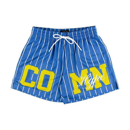 Common Hype Statement Pinstripe Mesh Short Royal Blue