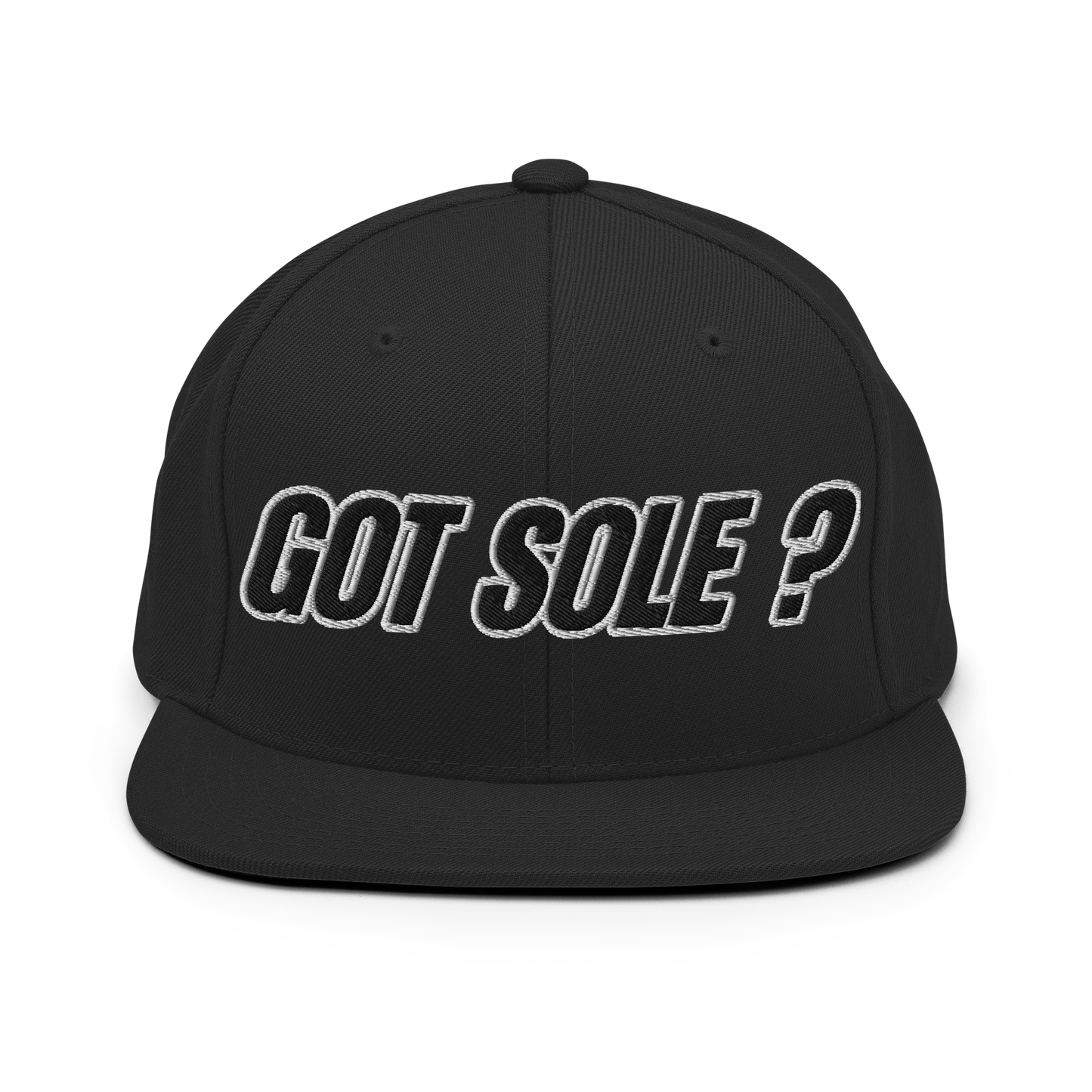 Sole Providerz™ GOT SOLE ? Snapback