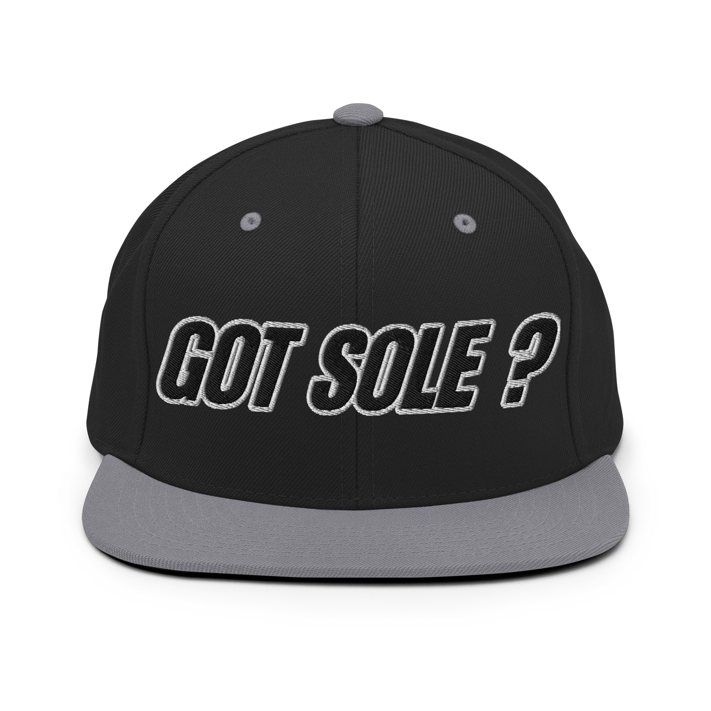 Sole Providerz™ GOT SOLE ? Snapback