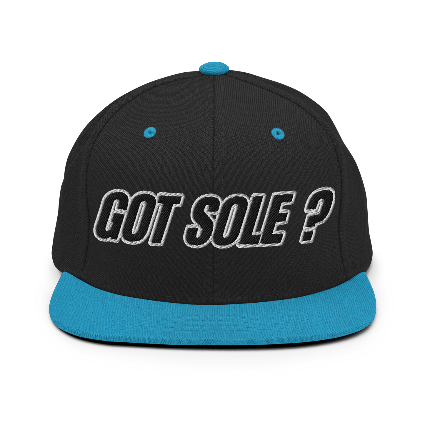 Sole Providerz™ GOT SOLE ? Snapback