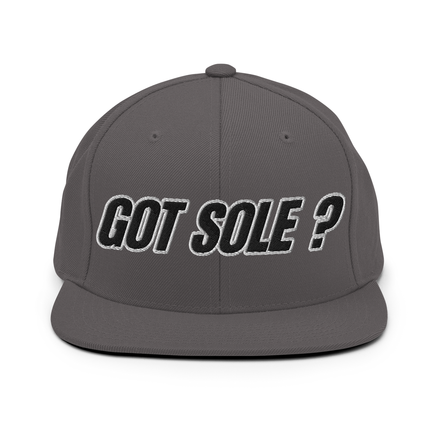 Sole Providerz™ GOT SOLE ? Snapback