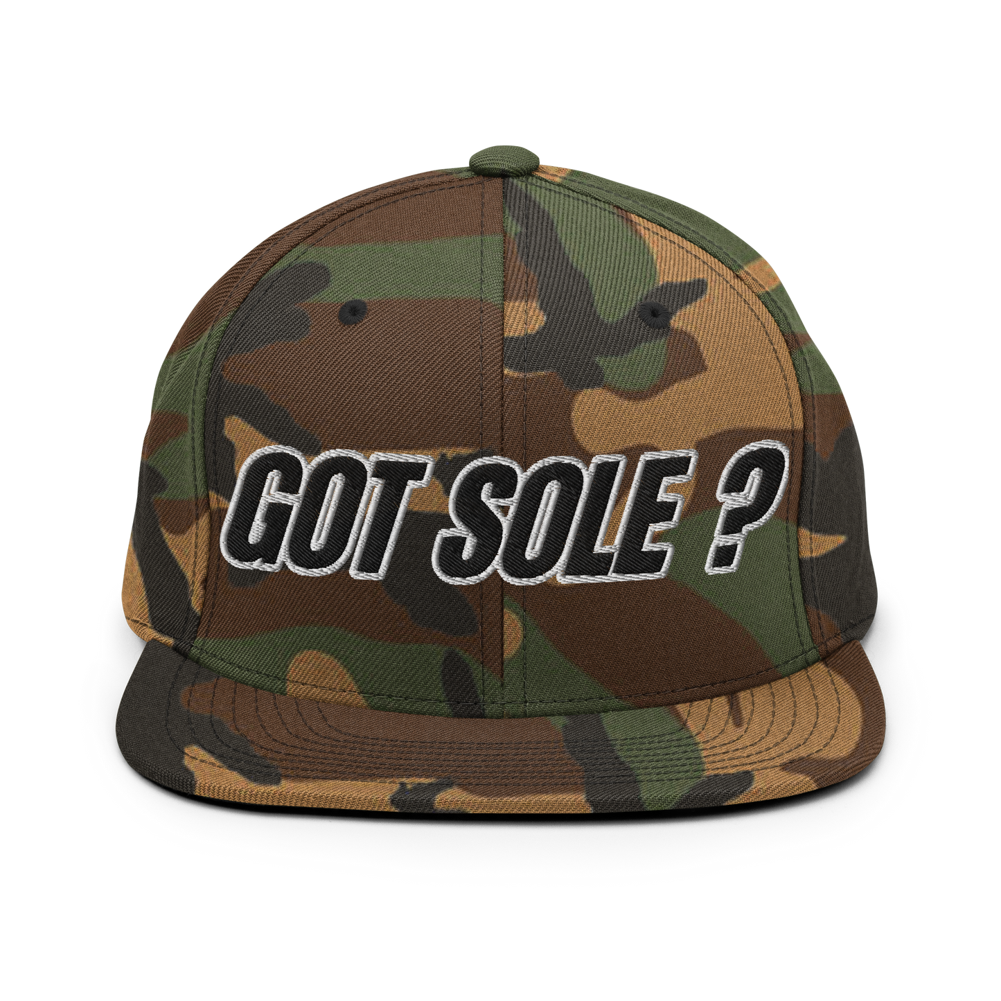 Sole Providerz™ GOT SOLE ? Snapback