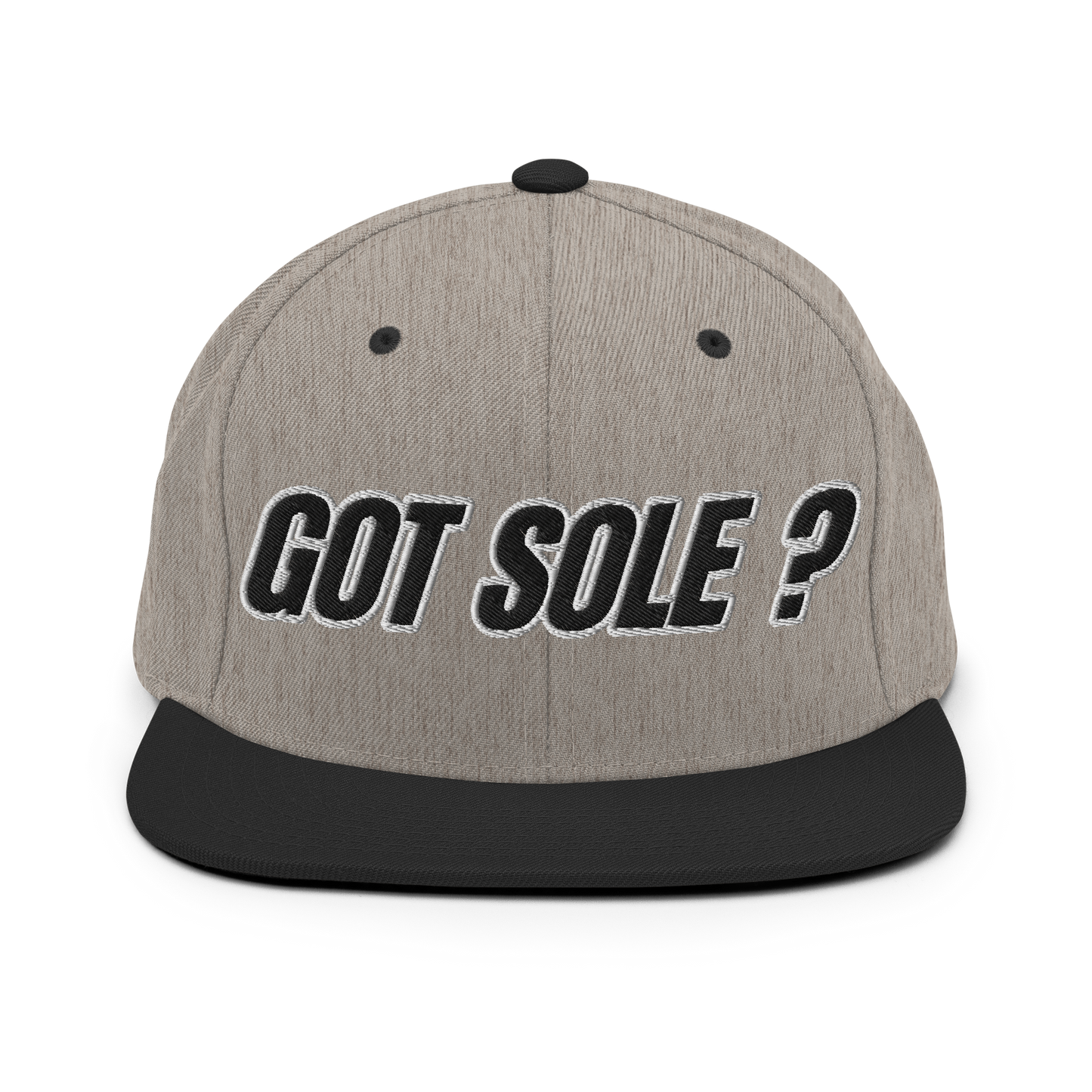 Sole Providerz™ GOT SOLE ? Snapback